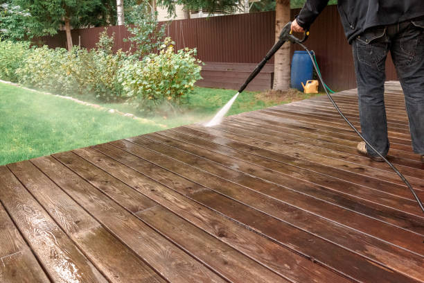 Best Soft Washing  in Byron, MN