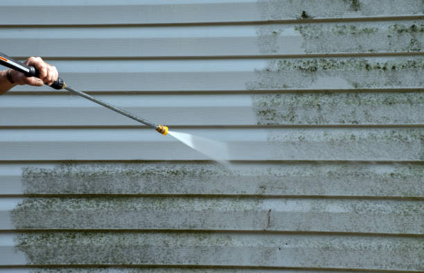 Best Fence Cleaning  in Byron, MN